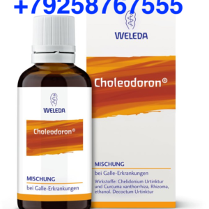 CHOLEODORON фото