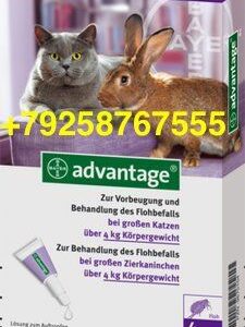 Advantage фото